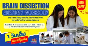 BRAIN DISSECTION ANATOMY WORKSHOP - CAMPHUB