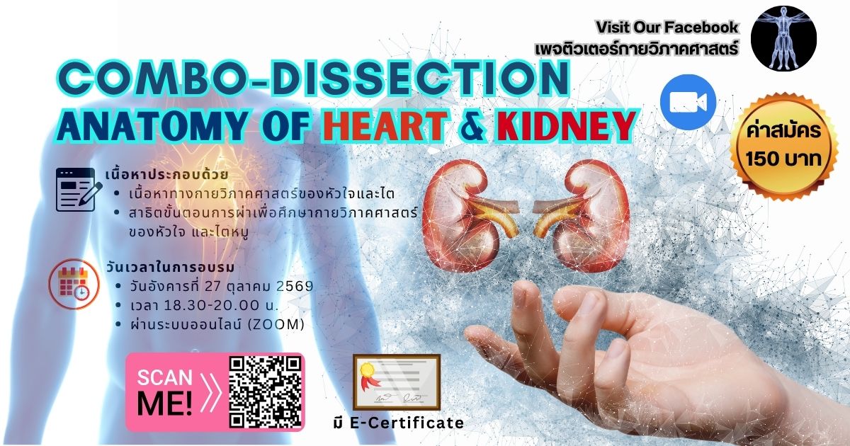 COMBO-DISSECTION: ANATOMY OF HEART & KIDNEY