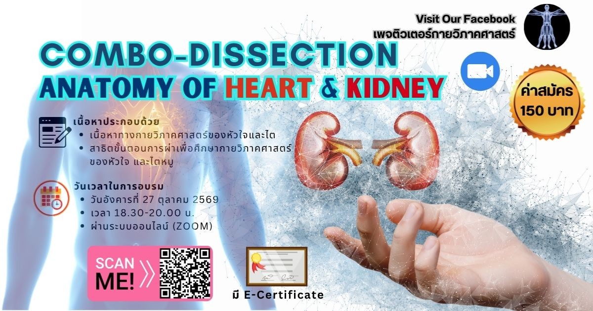 COMBO-DISSECTION: ANATOMY OF HEART & KIDNEY