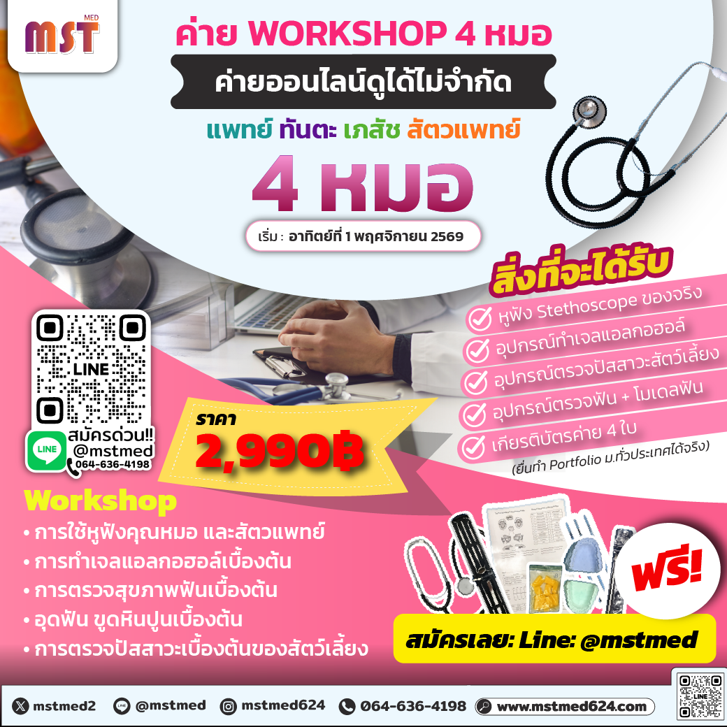 4 Med All-In-One Camp: รวมพลัง 4 หมอ เจาะลึกสายสุขภาพครบจบในค่ายเดียว
