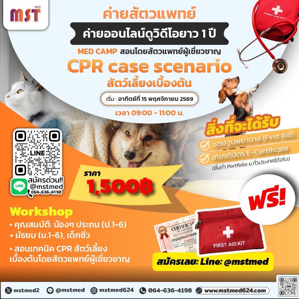 Pet Life Saver Camp: ค่ายสัตวแพทย์กู้ชีพ ฝึก CPR สัตว์เลี้ยงเบื้องต้น
