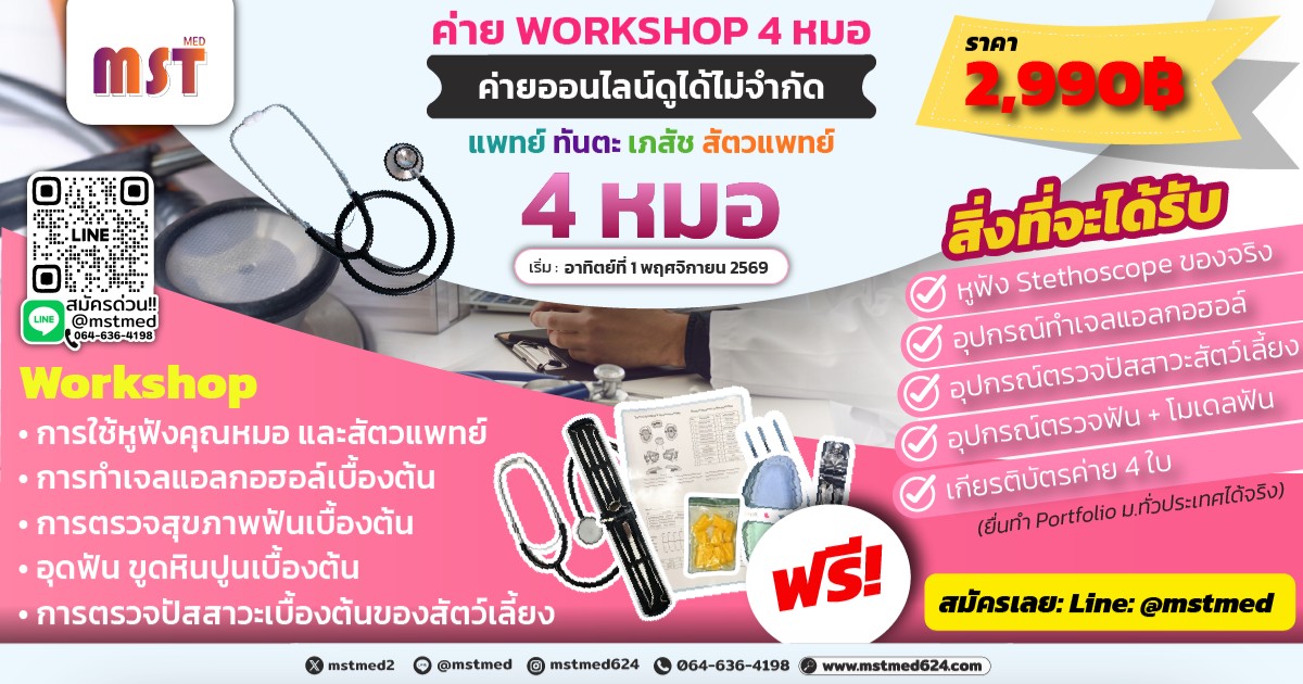 4 Med All-In-One Camp: รวมพลัง 4 หมอ เจาะลึกสายสุขภาพครบจบในค่ายเดียว