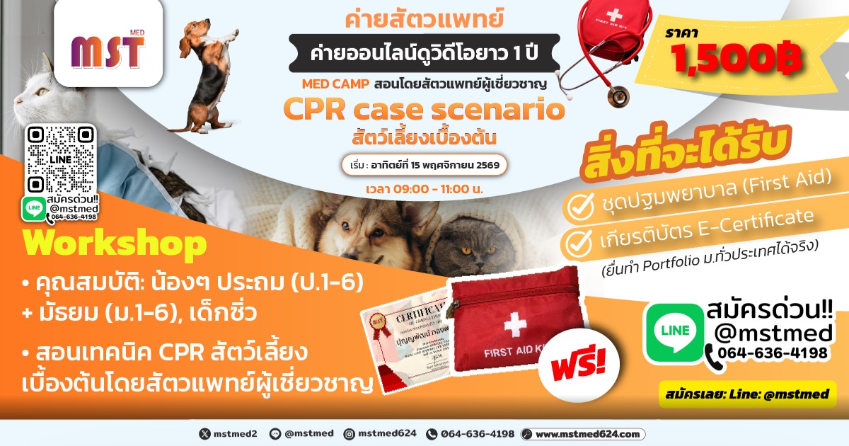 Pet Life Saver Camp: ค่ายสัตวแพทย์กู้ชีพ ฝึก CPR สัตว์เลี้ยงเบื้องต้น